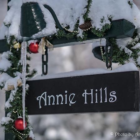 Annie Hills Tateshina (Kitasaku) Exterior foto